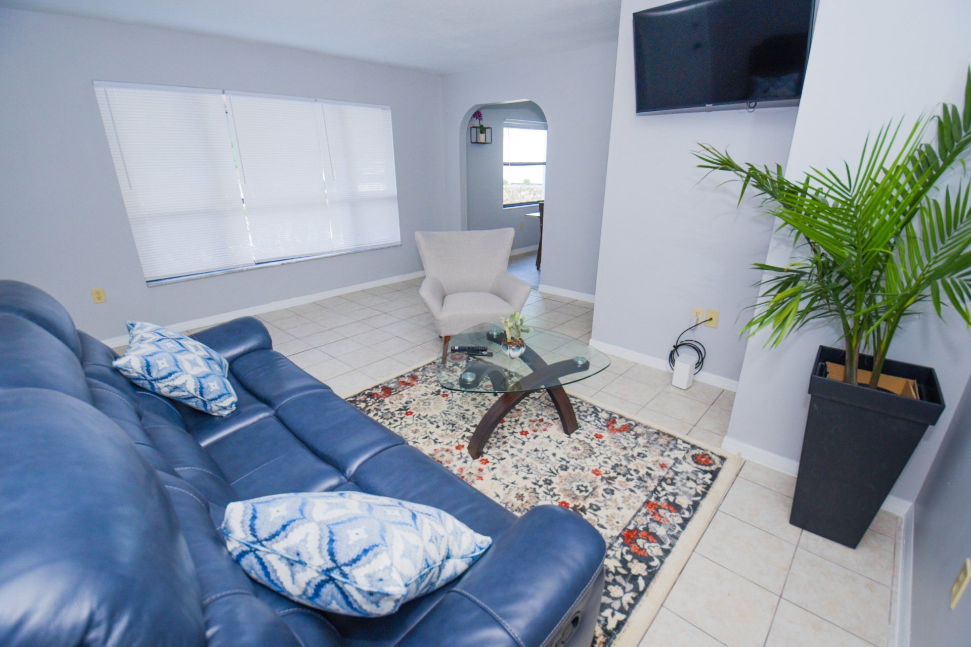 Blue-themed living room with blue couch, rug, and TV. A palm plant sits in a black planter.