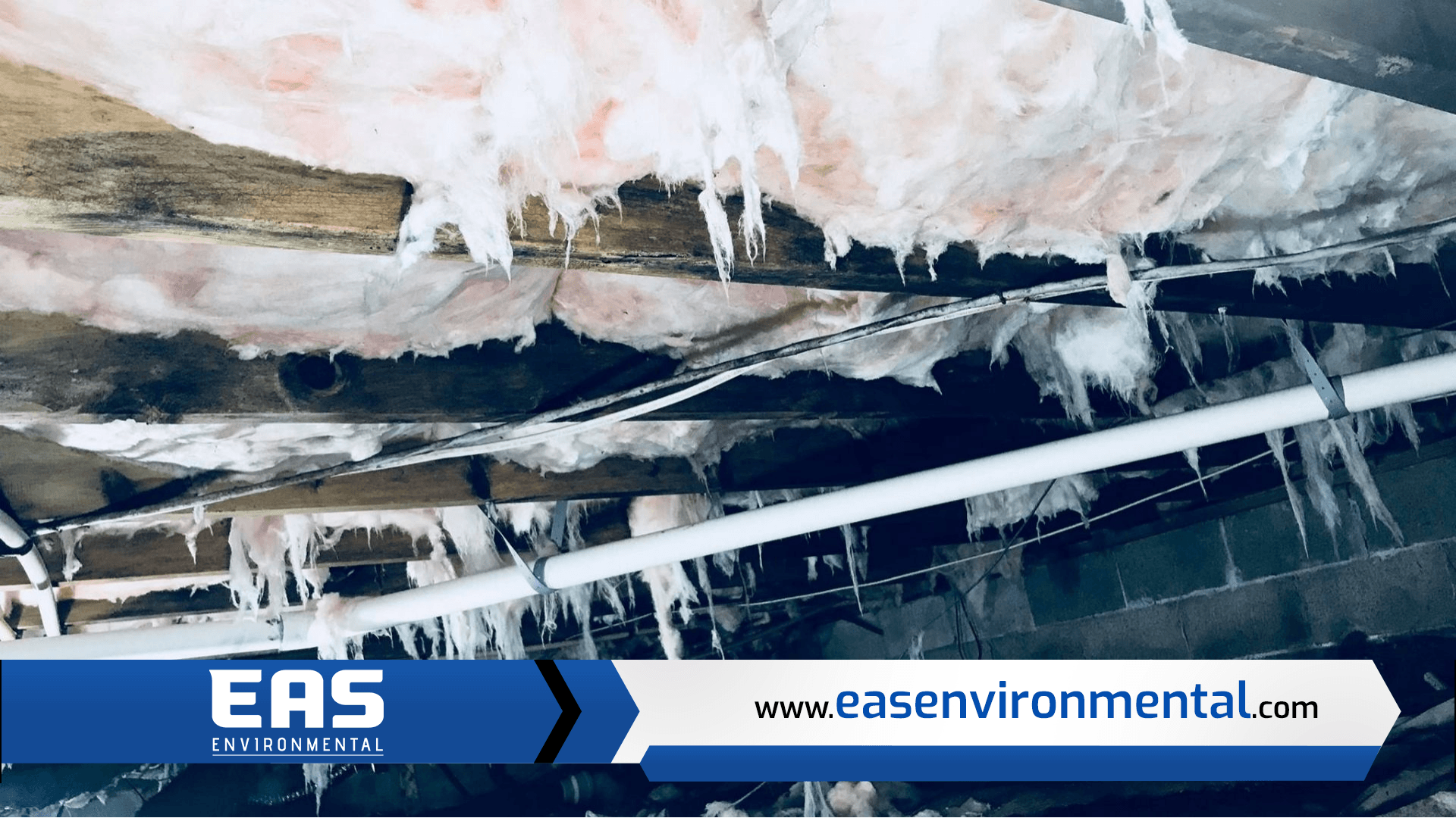 Mold infestation on wood beams and insulation in a crawl space. White mold with water pipes.