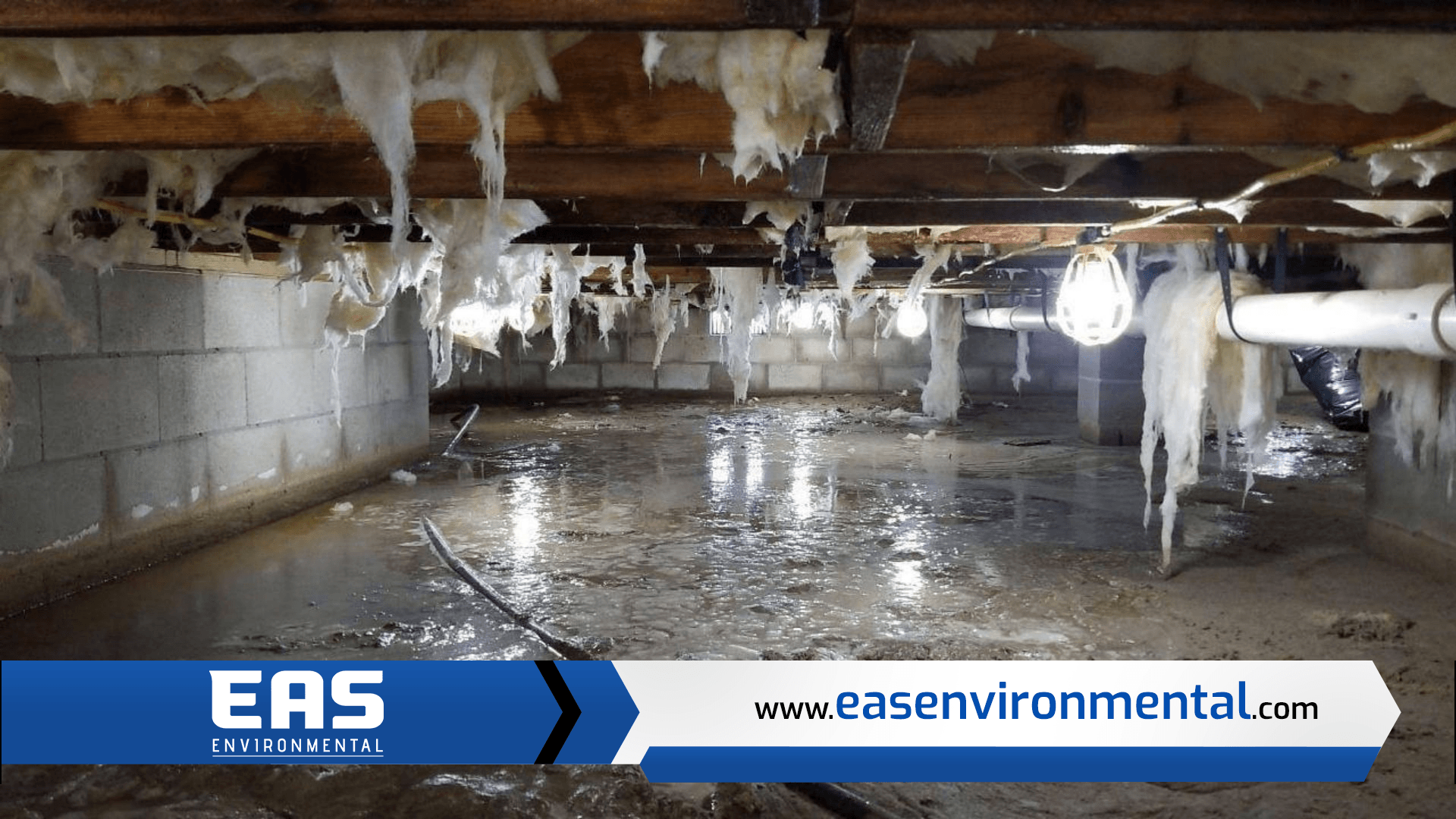 A crawl space with water damage. Wet, decaying insulation hangs from joists above standing water.