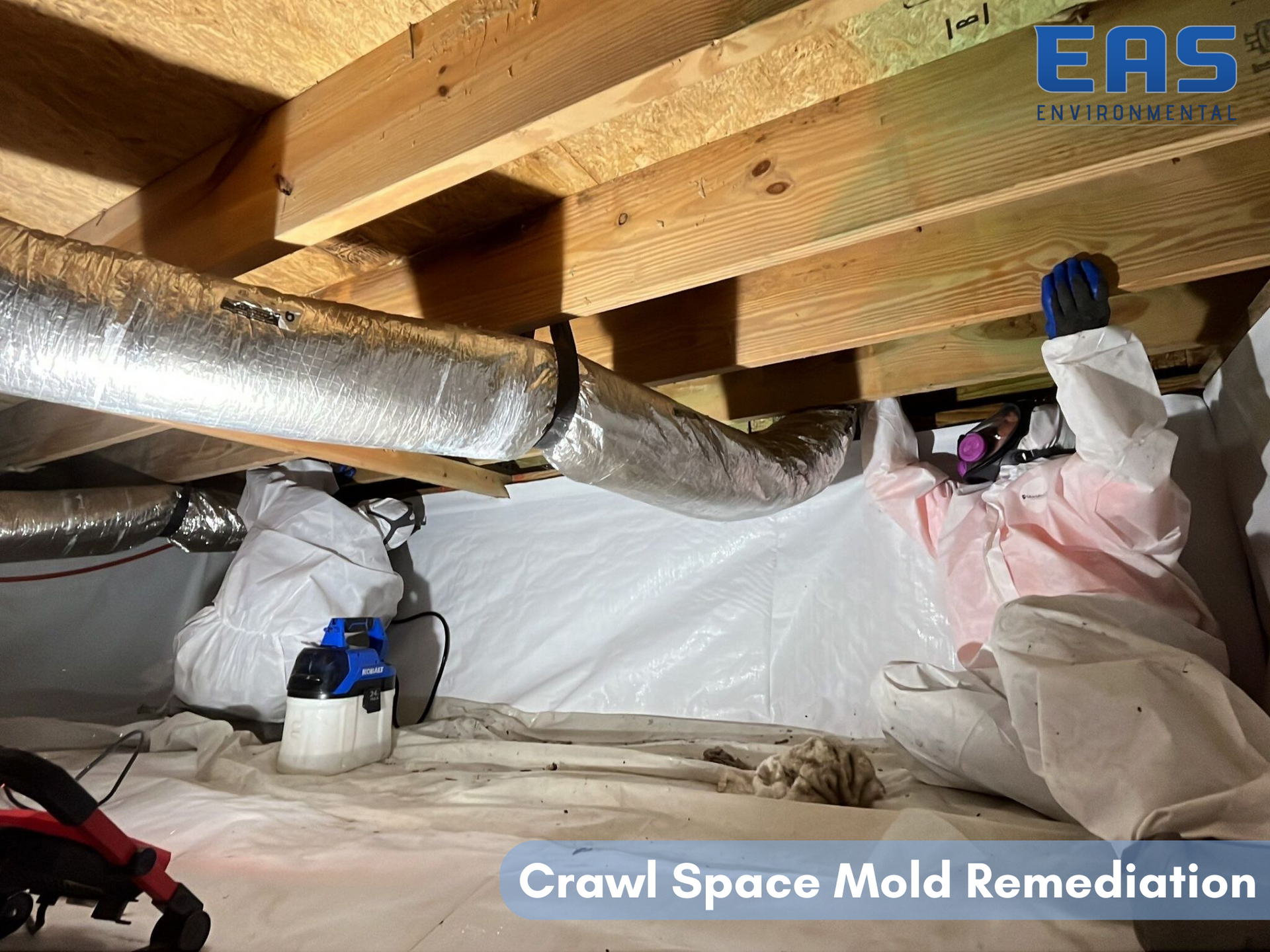 Workers in protective suits remediate mold in a crawl space, spraying a blue liquid.