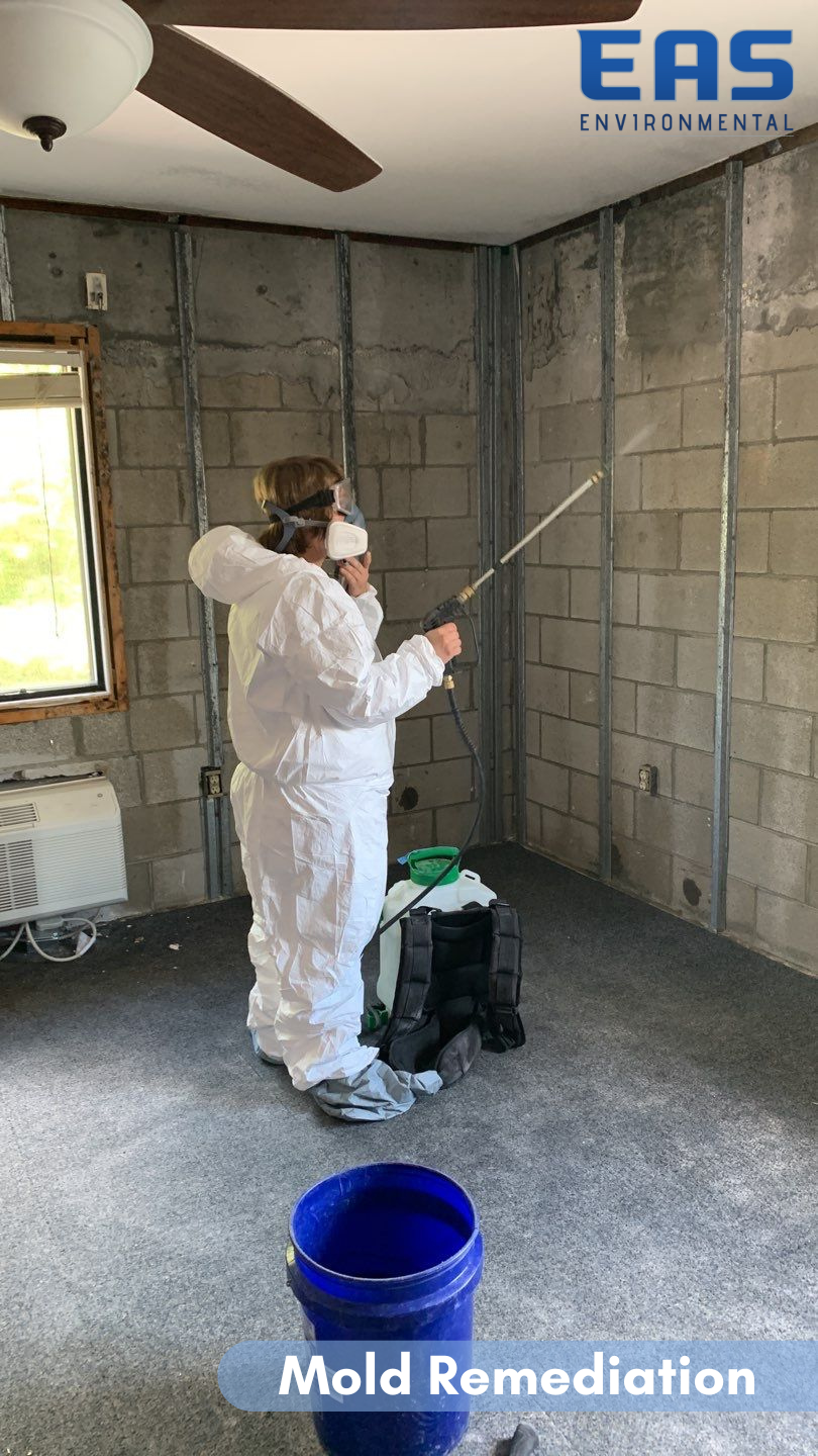 Person in protective suit sprays a wall in a room, mold remediation.