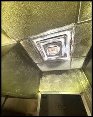 Mold remediation