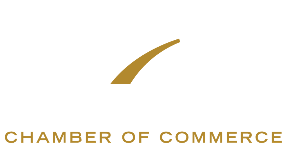 Velocity Partners Group Louisiana