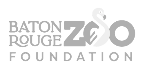 BR Zoo Foundation & Velocity Partners Group