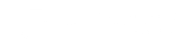The logo for velocity partners is blue and white