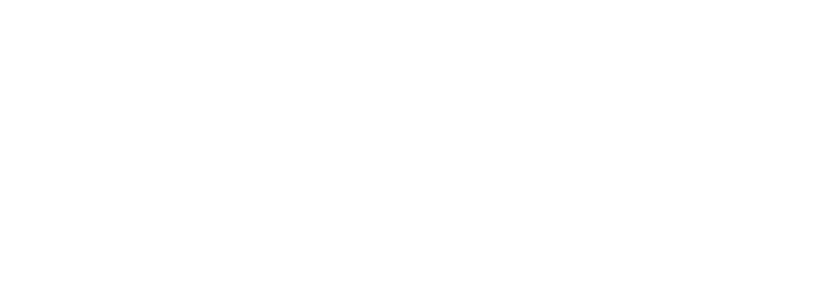 Velocity Partners Group Louisiana