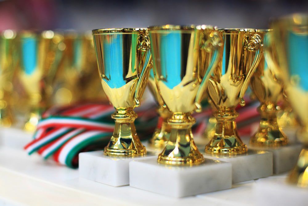 A Various Trophies — NQ Plaques & Trophies In Kirwan, QLD