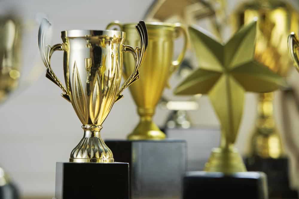 Different Trophies For Different Awards — NQ Plaques & Trophies In Kirwan, QLD