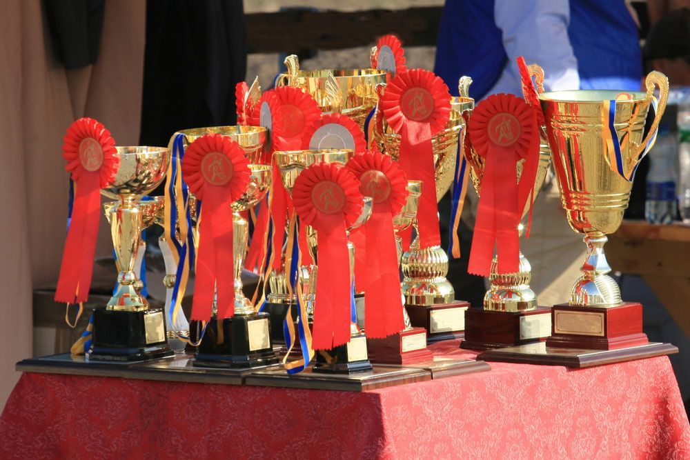 A Table Full Of Gold Trophies With Red Ribbons — NQ Plaques & Trophies In Mackay, QLD