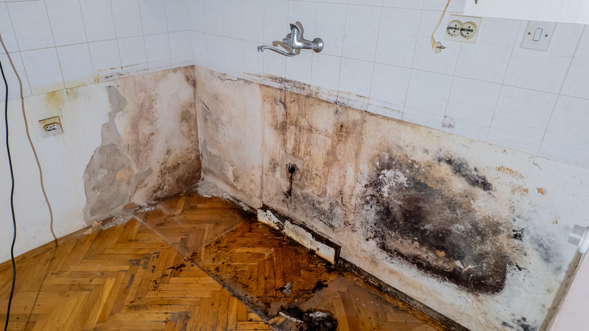 A kitchen with a lot of mold on the walls and floor.