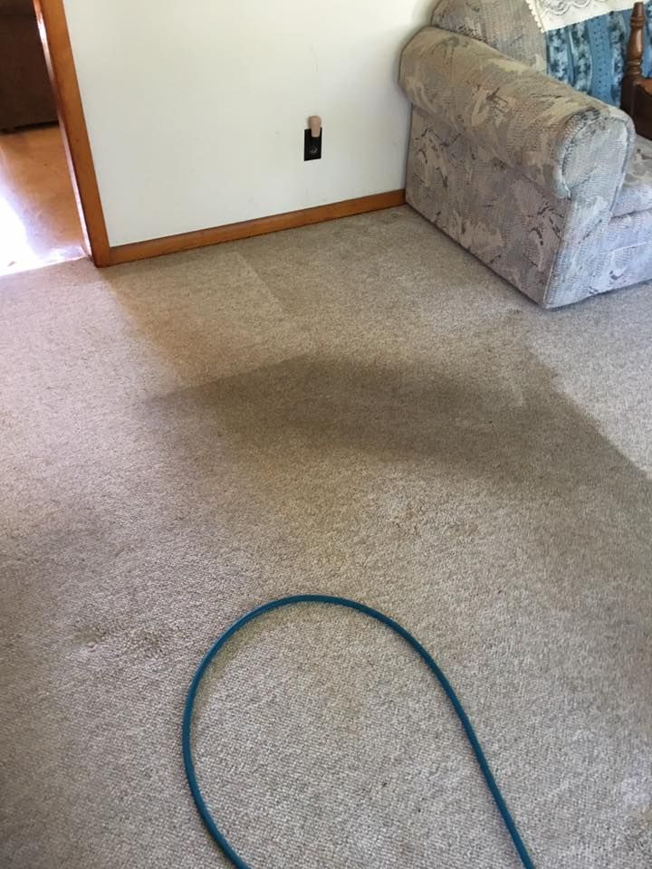 A living room with a couch and a hose on the floor.