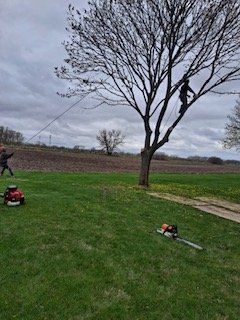 Trimming And Pruning — Harvard, IL — Power Tree & Landscaping