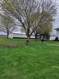 Tree Trimming And Removal — Harvard, IL — Power Tree & Landscaping