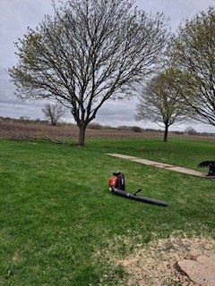 Workers Trimming The Tree — Harvard, IL — Power Tree & Landscaping