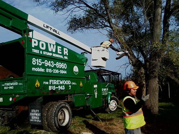 Truck with Hydraulic Lift — Harvard, IL — Power Tree & Landscaping Truck with Hydraulic Lift — Harvard, IL — Power Tree & Landscaping