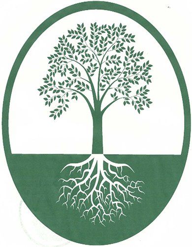 Power Tree & Landscaping Power Tree & Landscaping