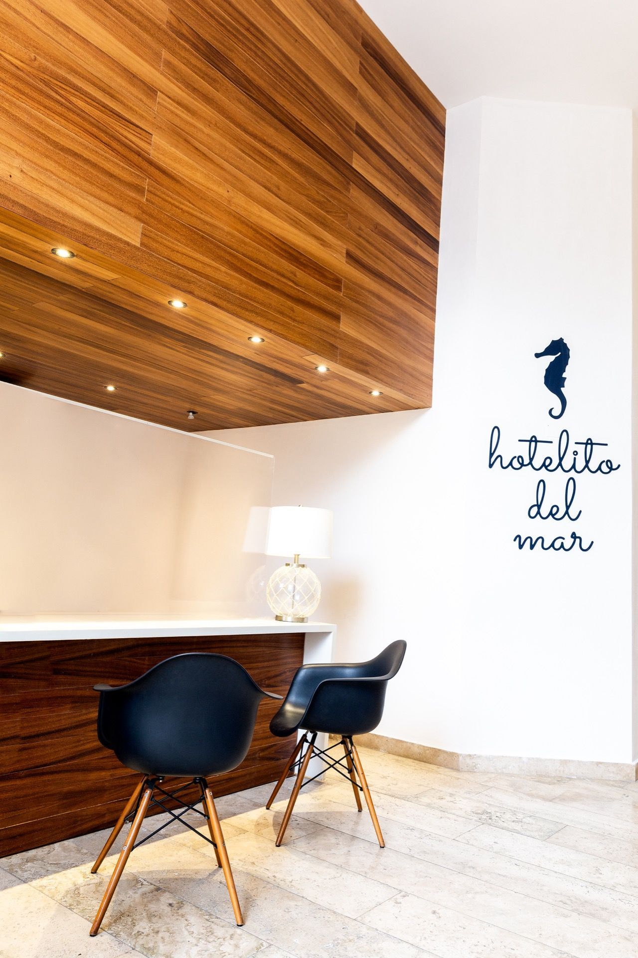 Habitación moderna minimalista con dos sillas negras, techo de madera 