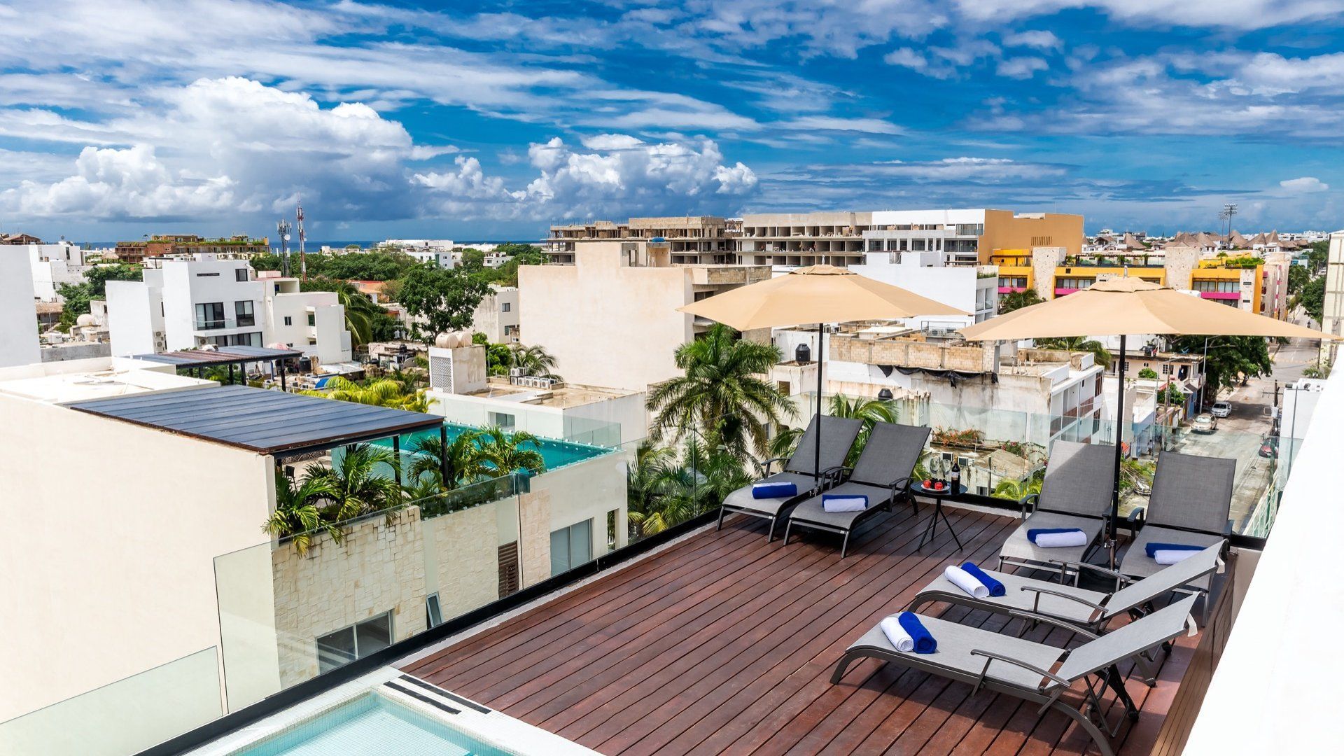 Terraza en la azotea con tumbonas, palmeras y edificios de la ciudad bajo un cielo azul.