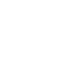 Blank white image