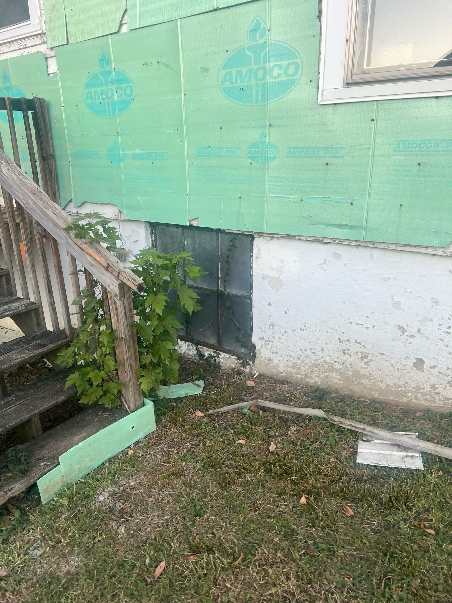 Peeling green house siding beside wooden steps, with a small plant and patchy grass below.