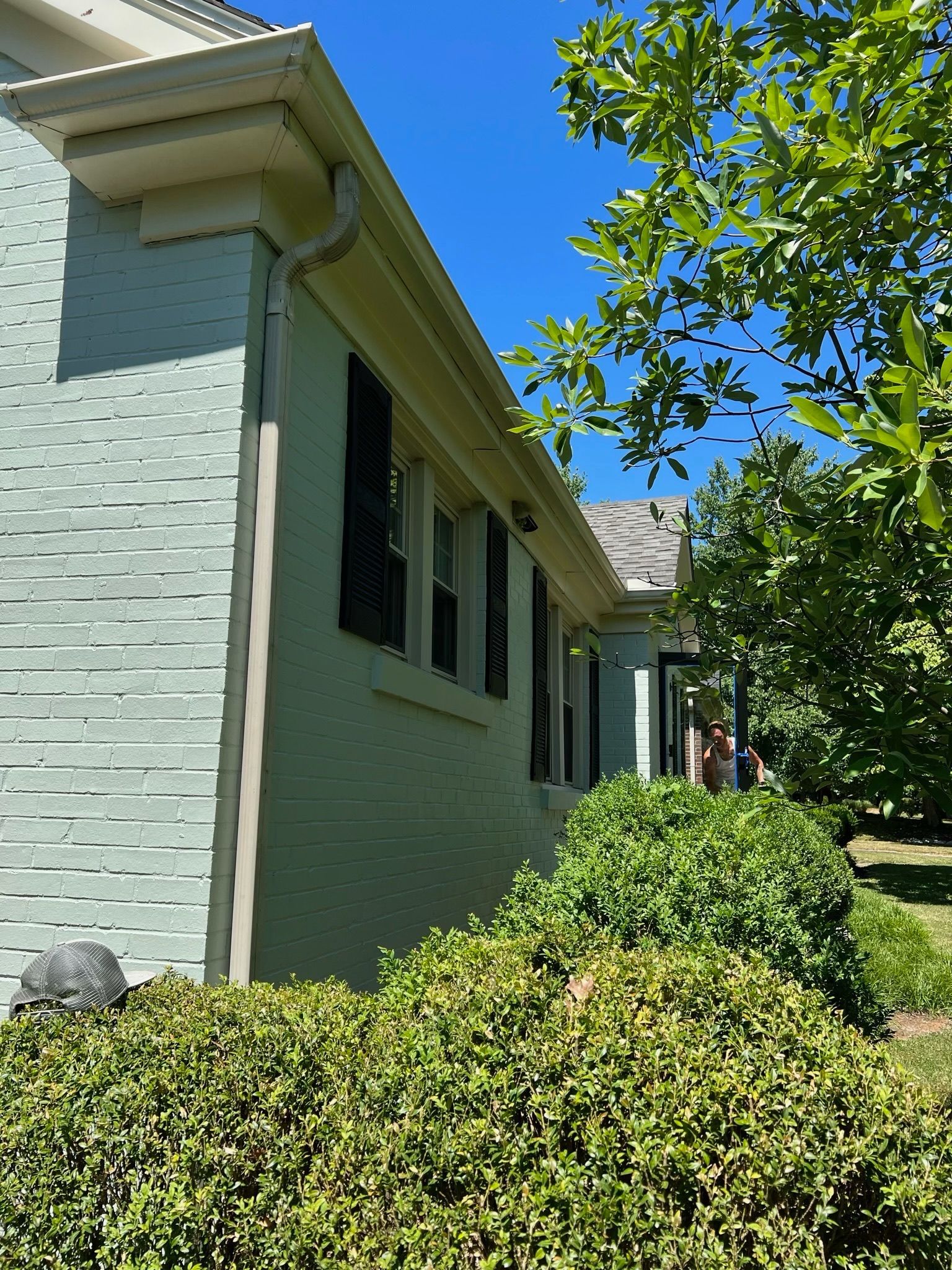Light green house exterior with dark shutters, shrubs, and a tree in the foreground
