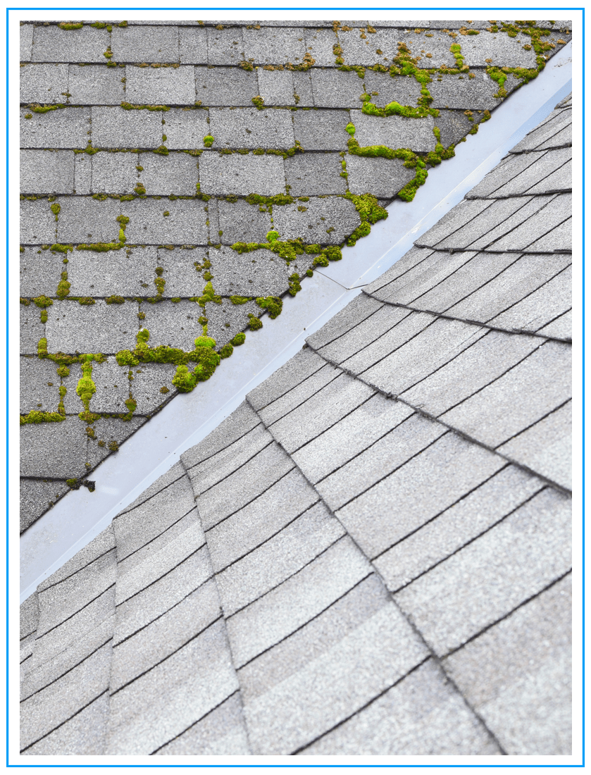 Soft Wash Roof Cleaning - Housewashing.com Soft Wash Roof Cleaning - Housewashing.com