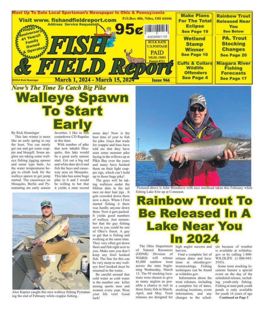 Newsletter
