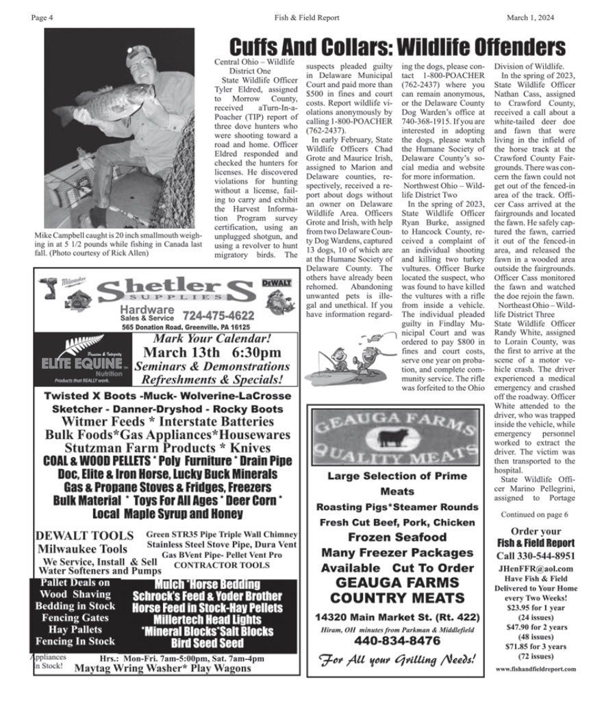 Newsletter