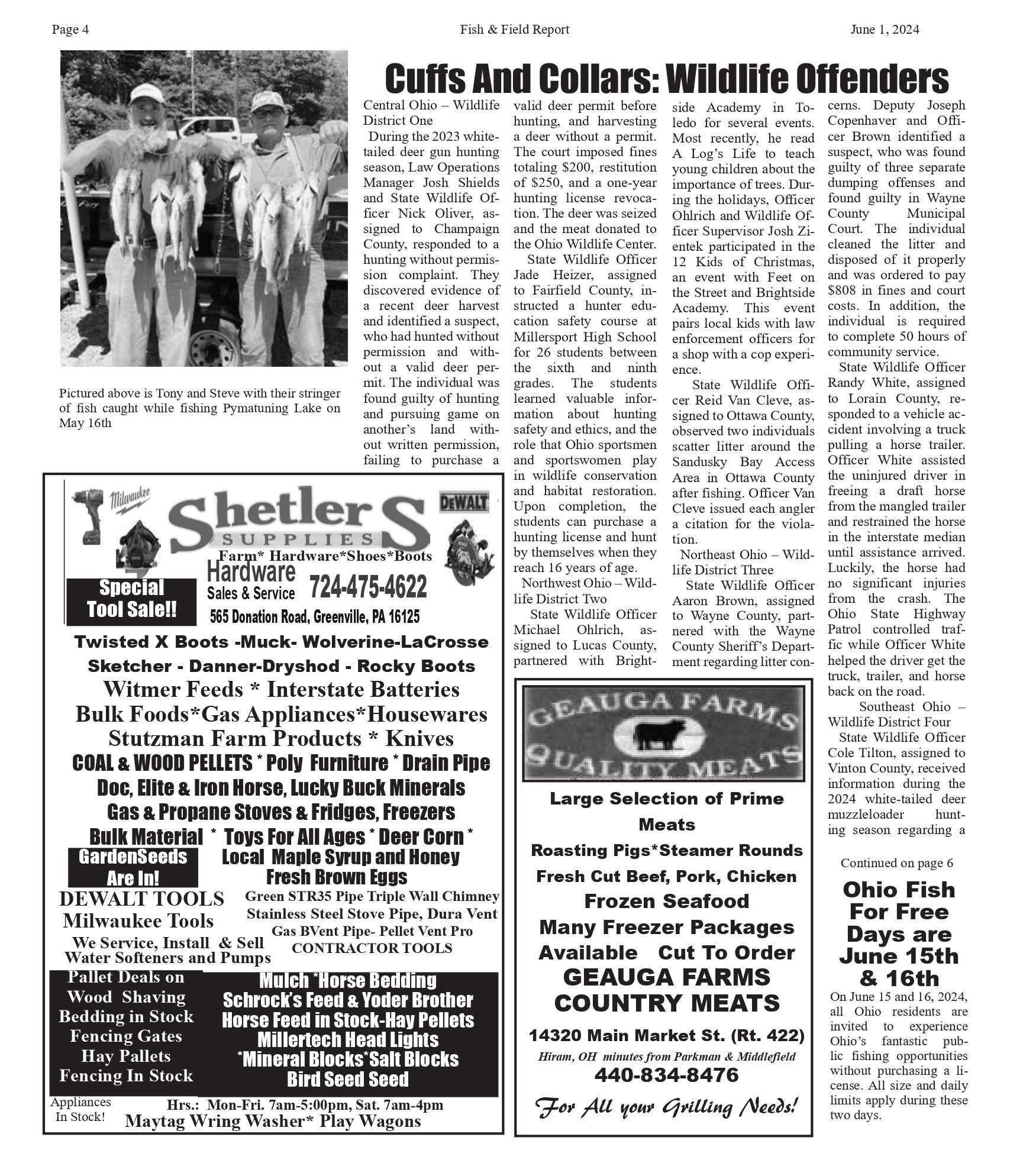 Newsletter