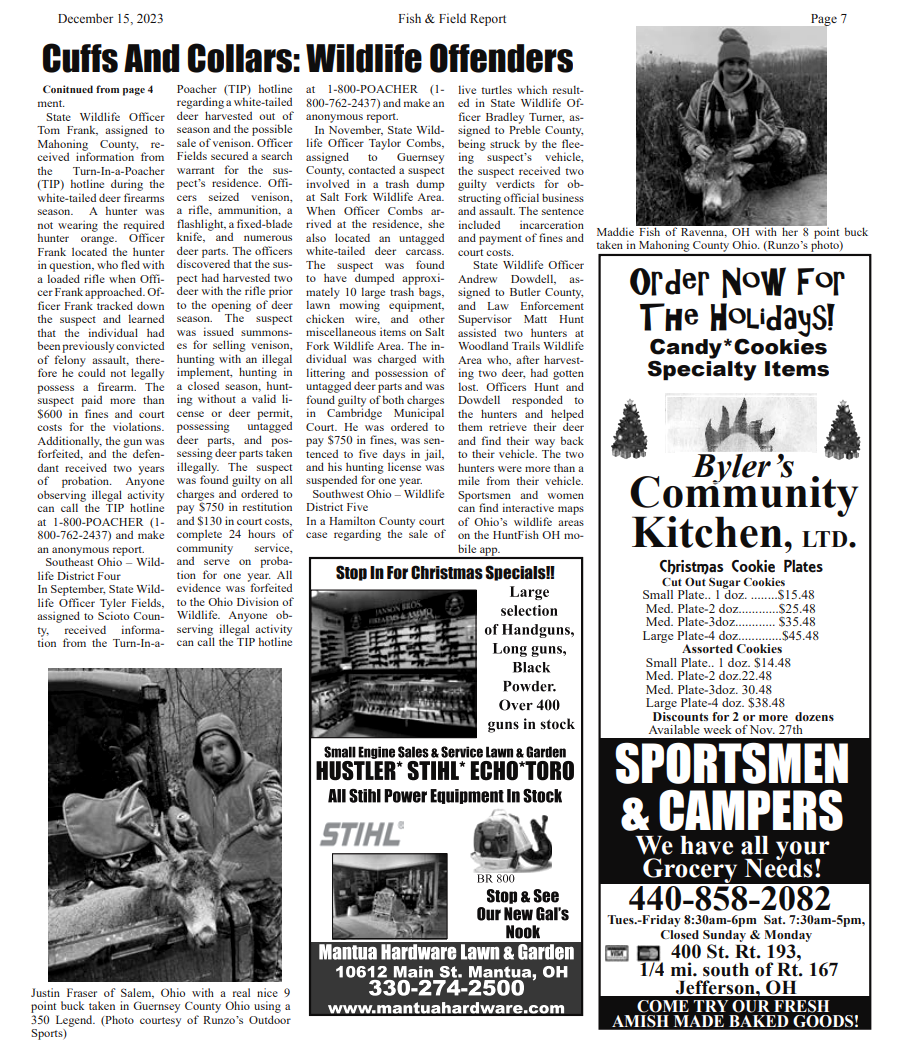 Newsletter