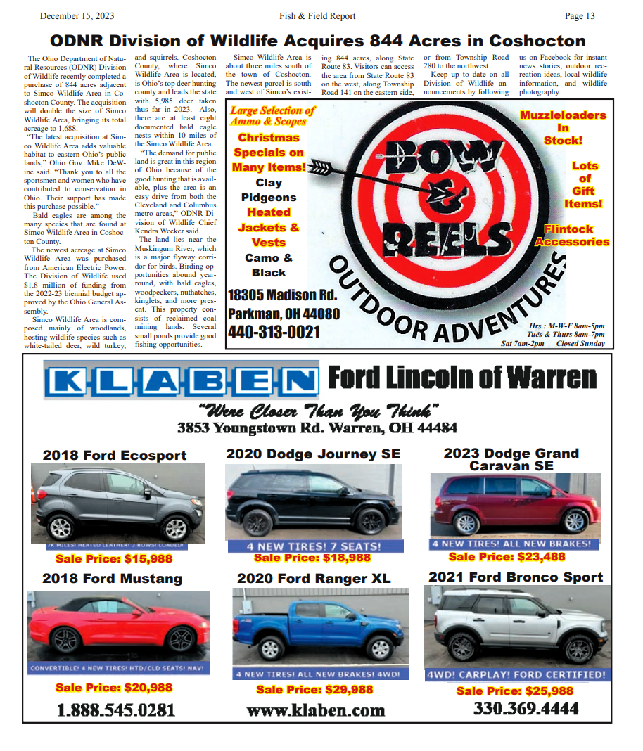 Newsletter