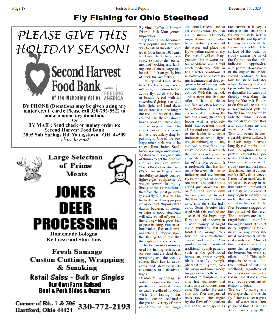 Newsletter