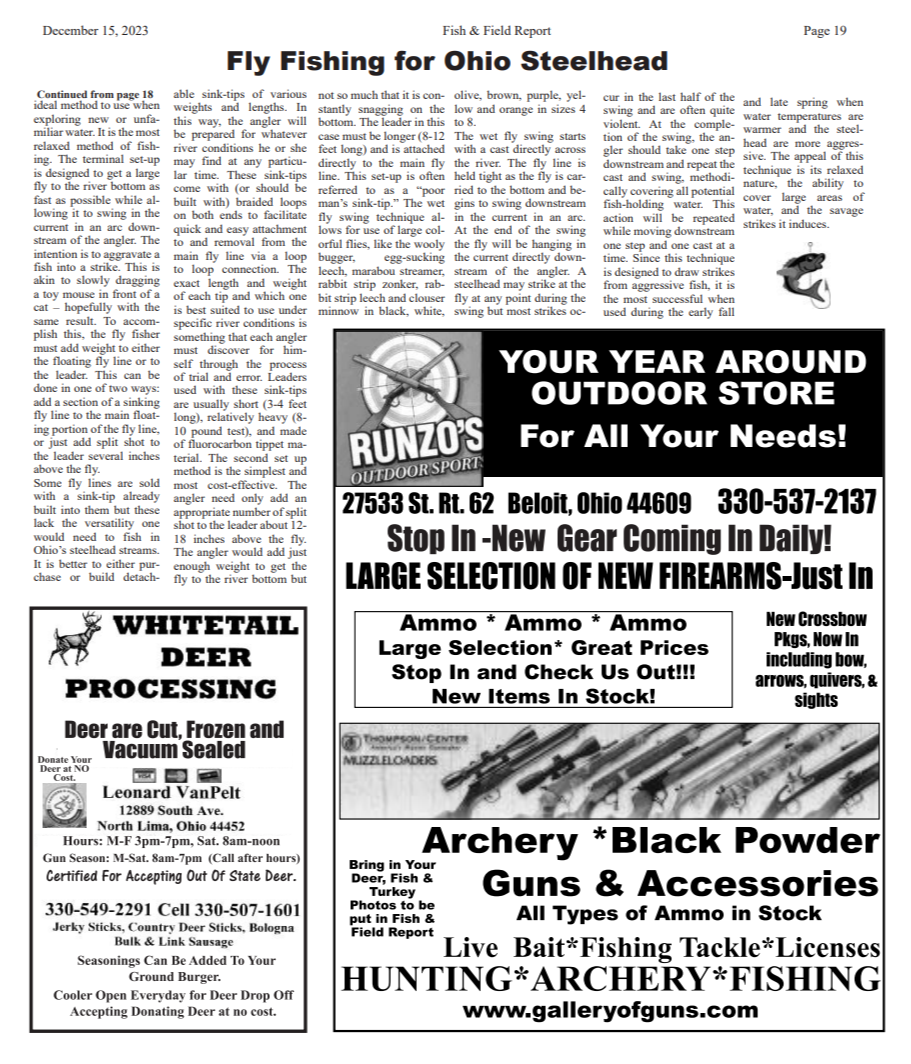 Newsletter