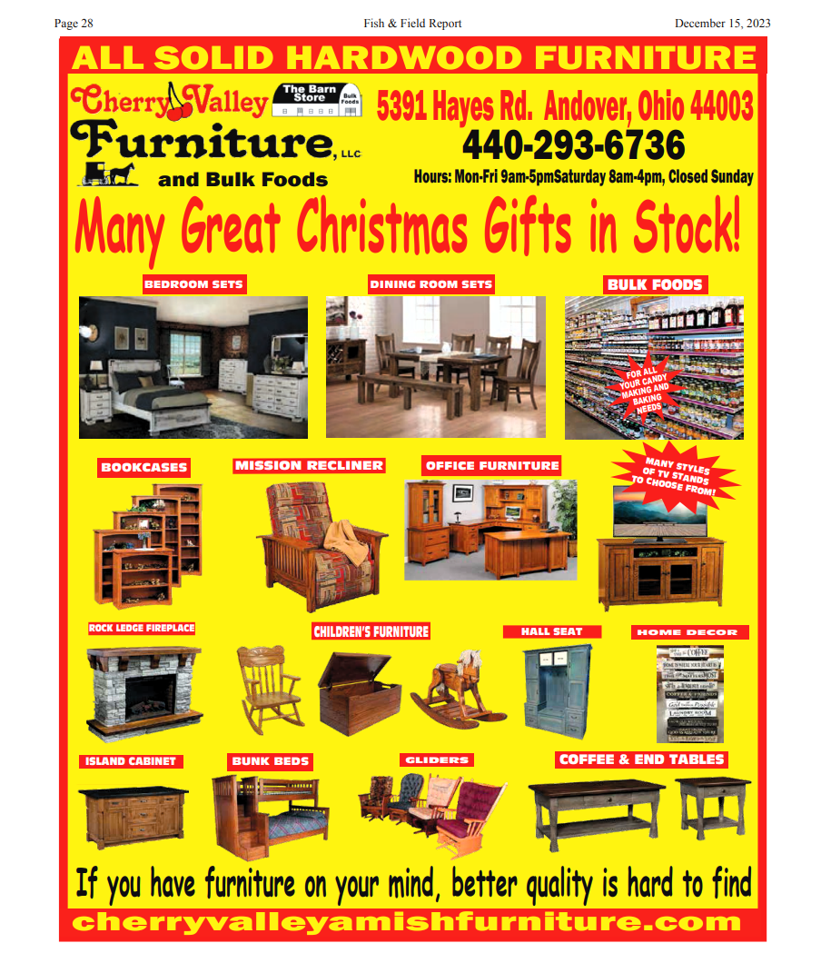 Newsletter