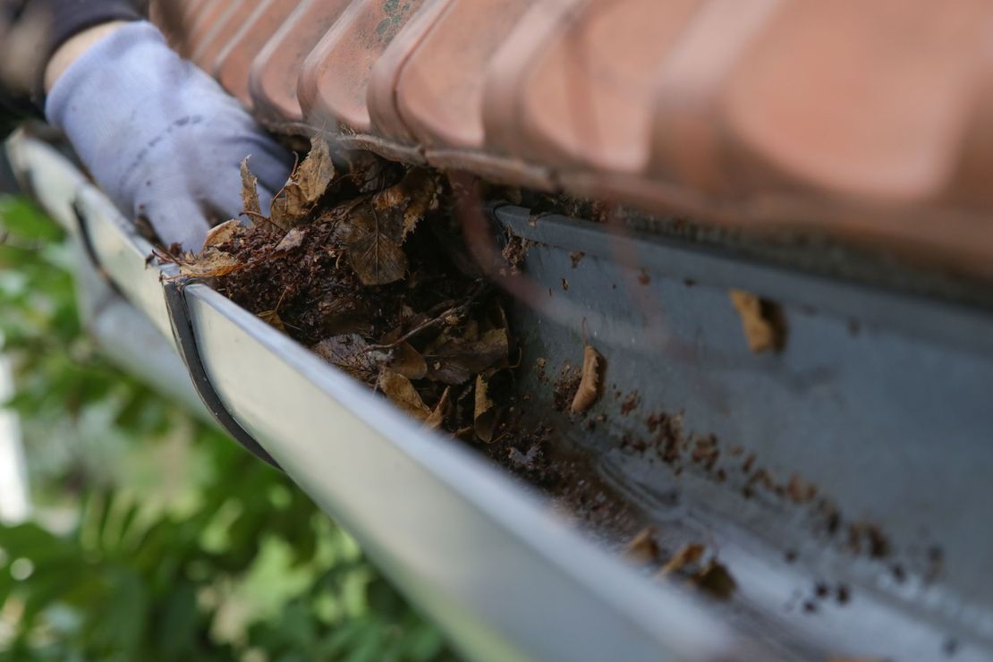 Dead leaves and debris lodged in a blue gutter beside a brick roof edge.