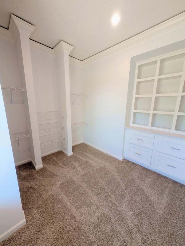 Empty white closet room with beige carpet and built-in shelving drawers