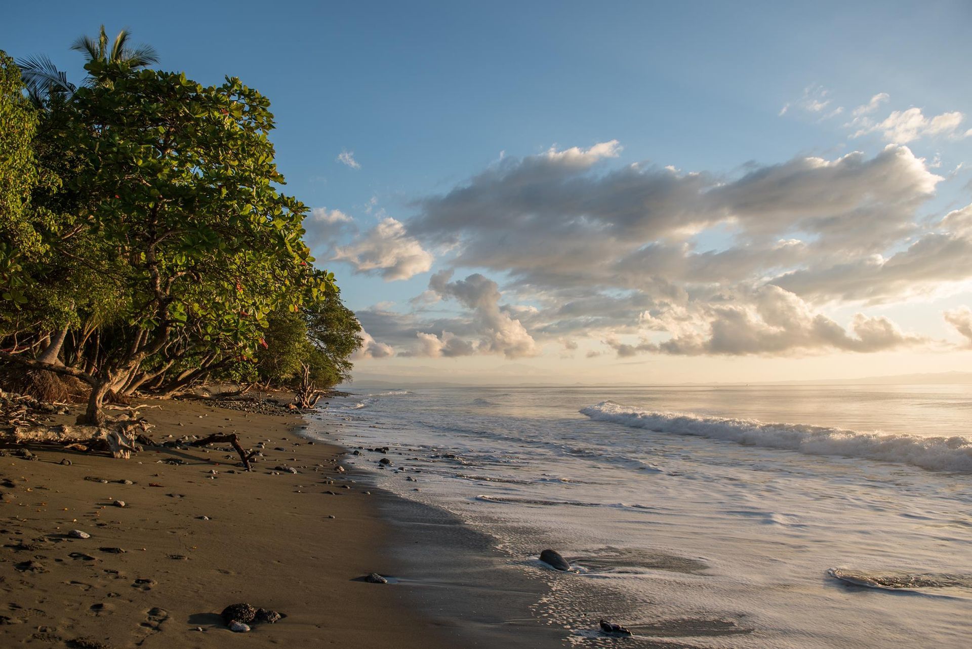 Sandy tropical beach with foamy waves, cloudy sky, and sunlit trees along the shore
