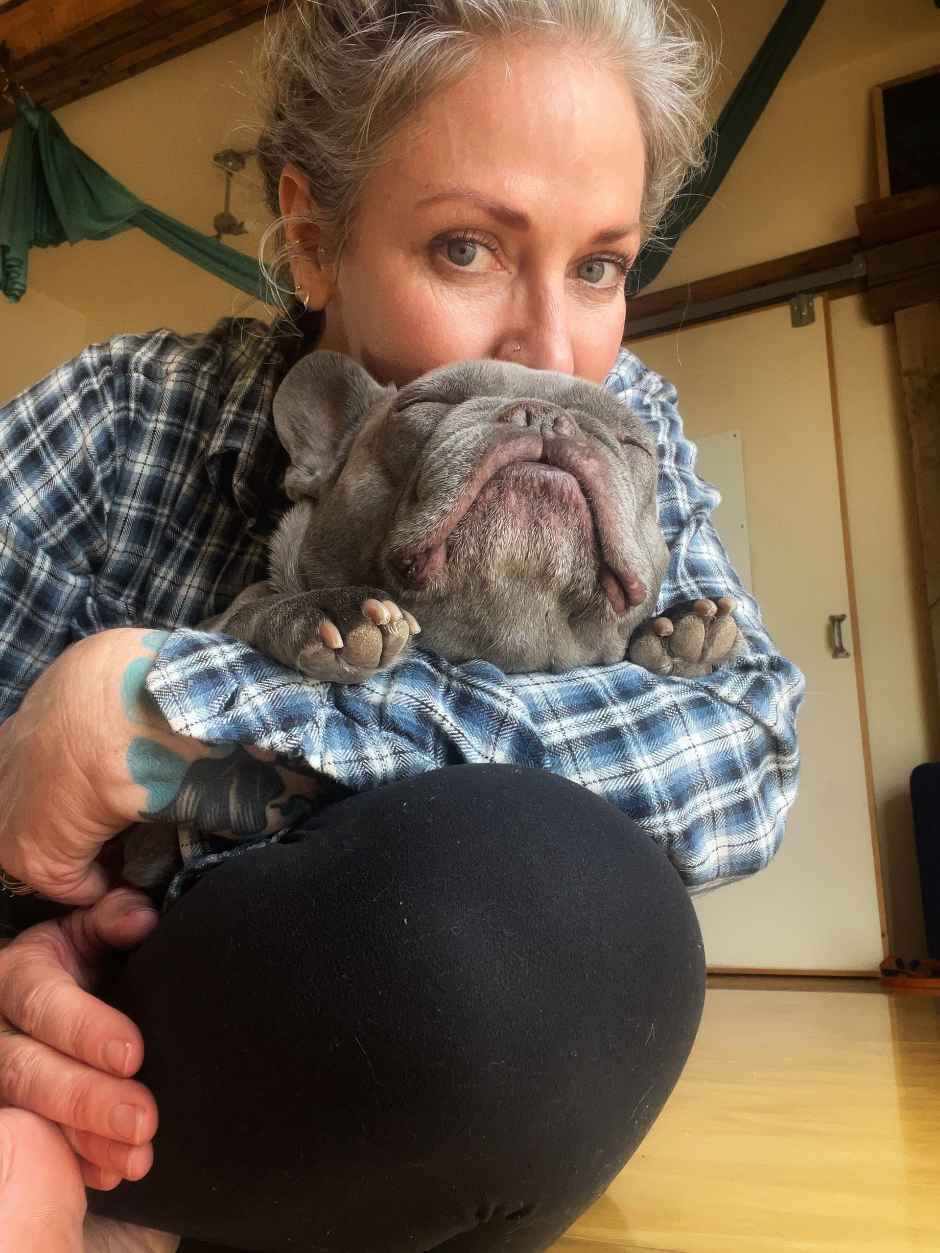 Desirae hugging a gray bulldog in a plaid shirt indoors