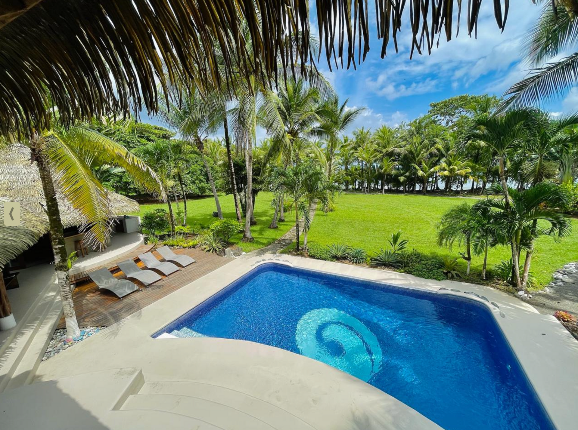 Tropical backyard with a blue swimming pool, lounge chairs, palm trees, and a green lawn under a sunny sky