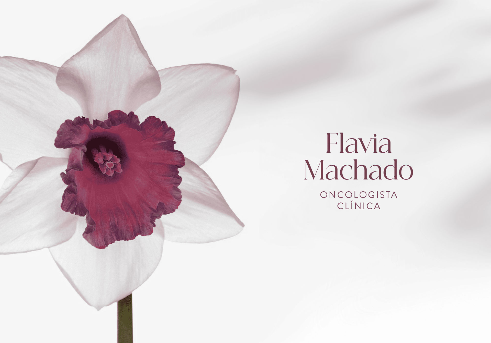 Flavia Machado - Identidade Visual