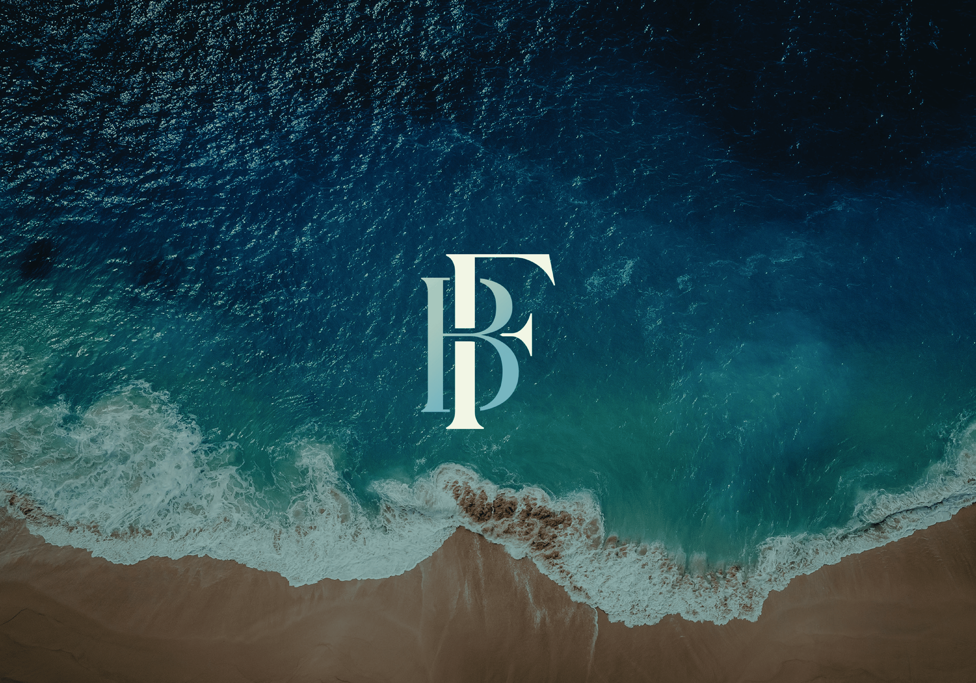 Identidade Visual - Dr. Fernando de Bortoli