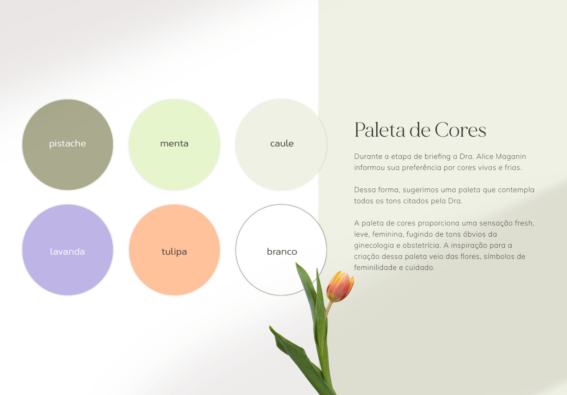 Paleta de Cores Identidade Visual Dra. Alice Maganin Ginecologista e Obstetra