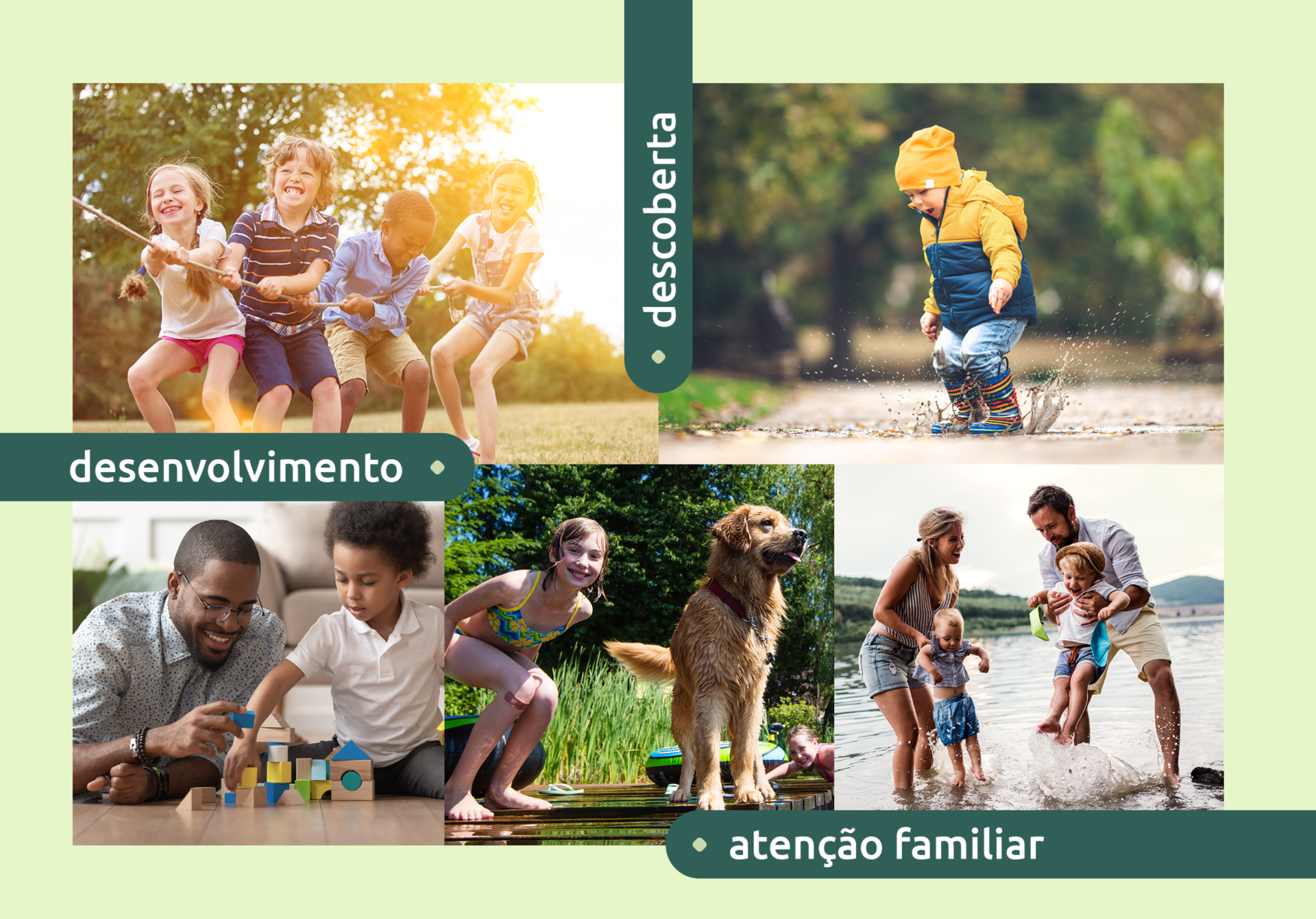 Uma colagem de quatro fotos de pessoas brincando com um cachorro.
