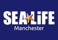 Sea Life