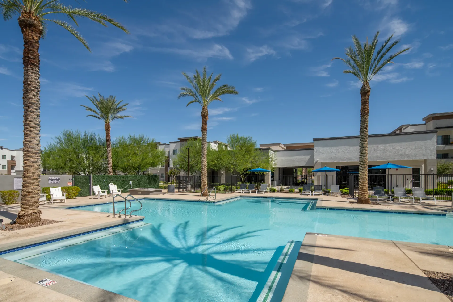 Resort-style swimming pool with palm trees and lounge chairs at Lumina Mountain Vista in Mesa, AZ.
