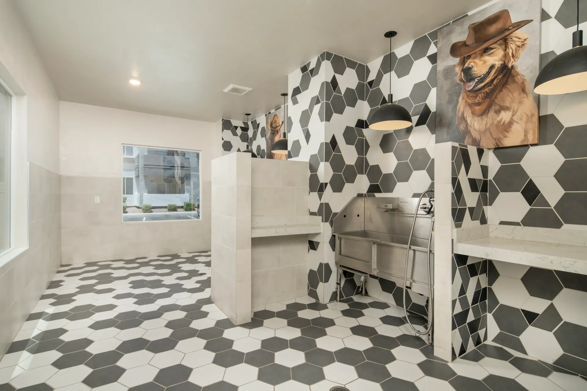 Modern pet grooming station with a stainless steel tub, patterned tile, and a painting of a dog wearing a cowboy hat at Lumina Mountain Vista in Mesa, AZ.