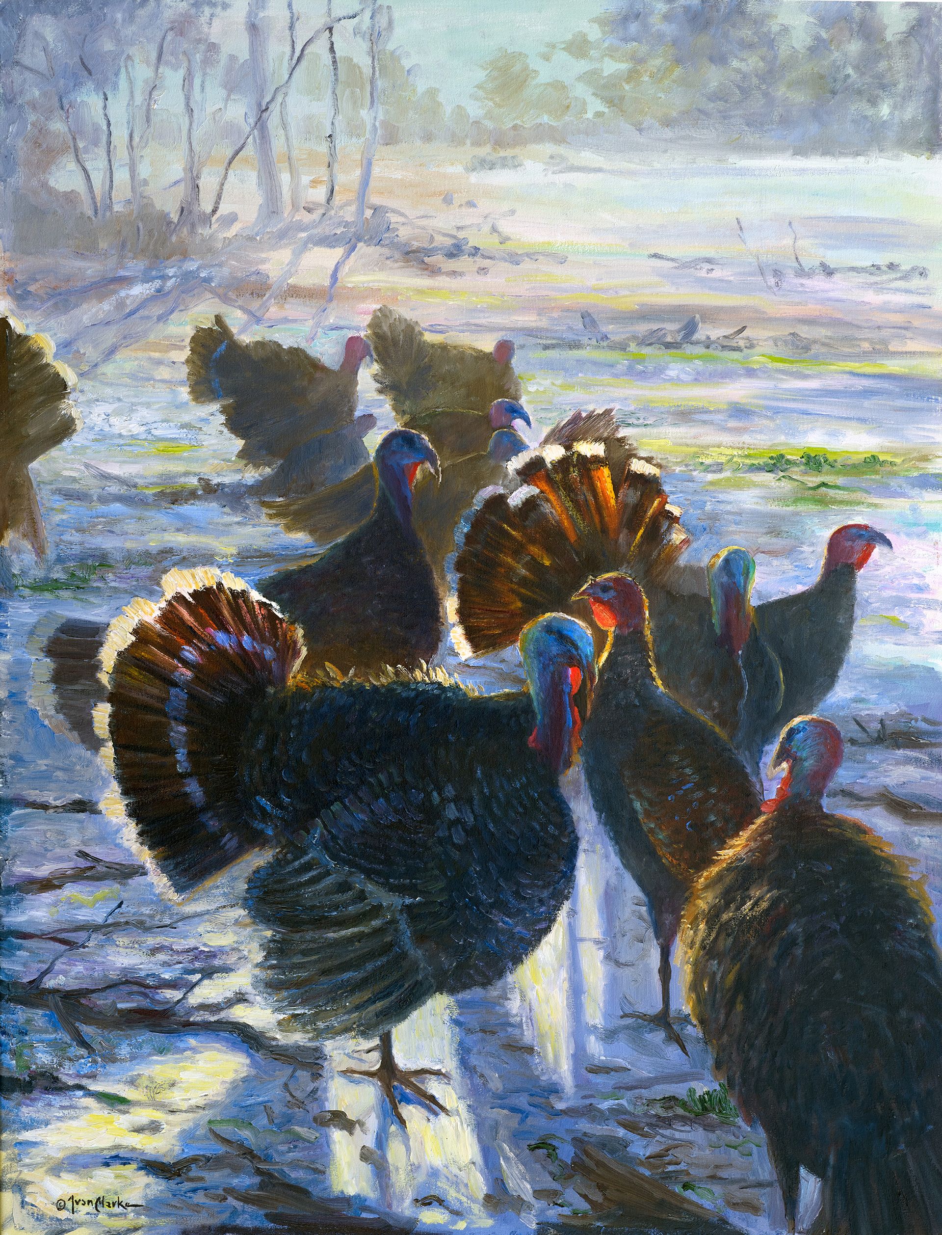 Turkeys Surrounded Masterwork Prints | Ivan Clarke Gallery | Fiordland