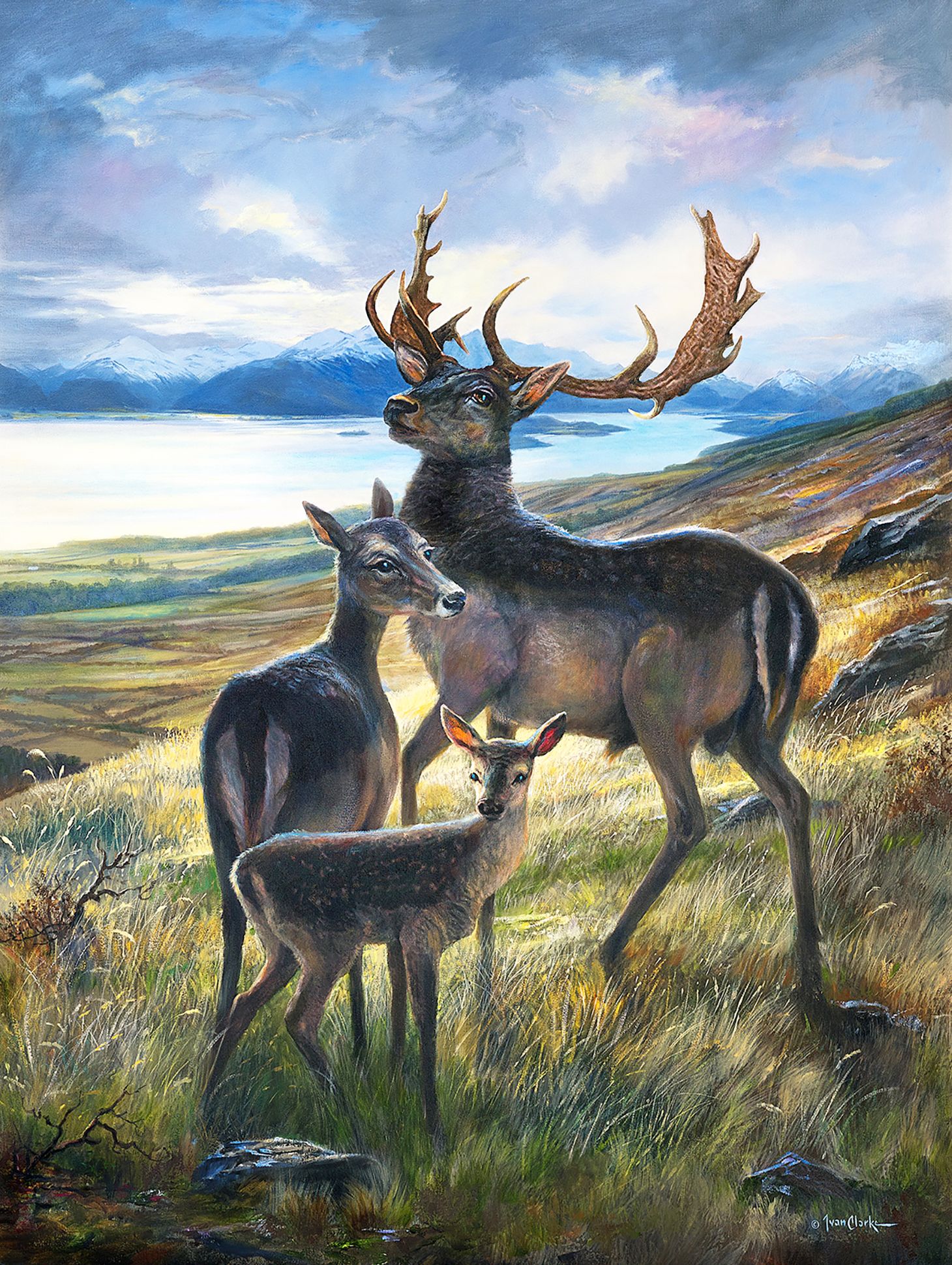 A stag, a doe, and a fawn stand in a grassy, mountainous landscape overlooking a lake under a dramatic, cloudy sky.