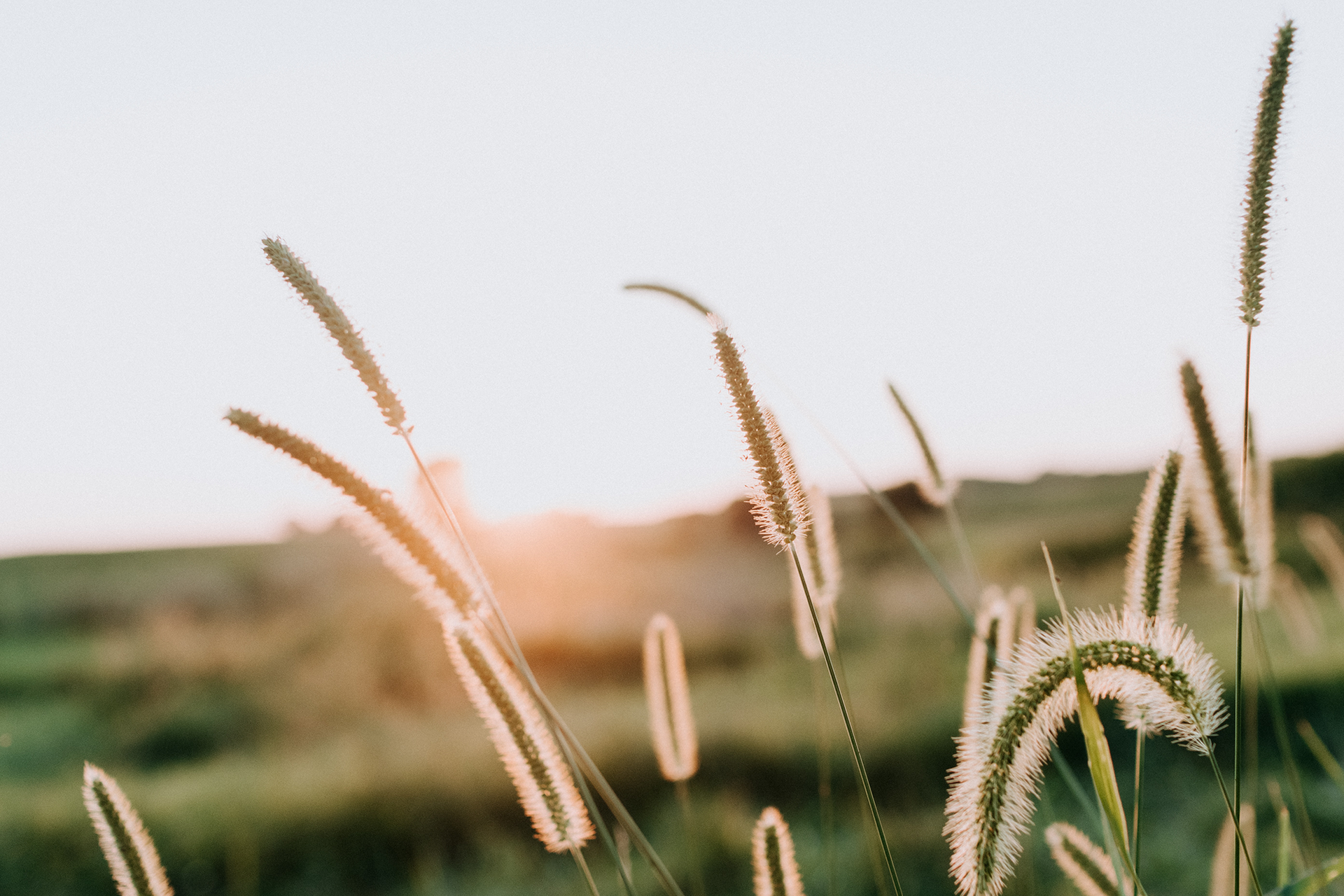 Little's Funeral Home and Cremation Service | Smithfield, VA