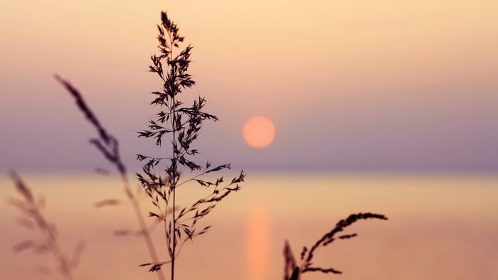 calm sunset image